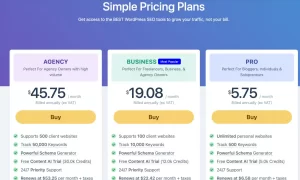 Rank-Math-PRO-Pricing-Plans-for-Businesses-Individuals (1)